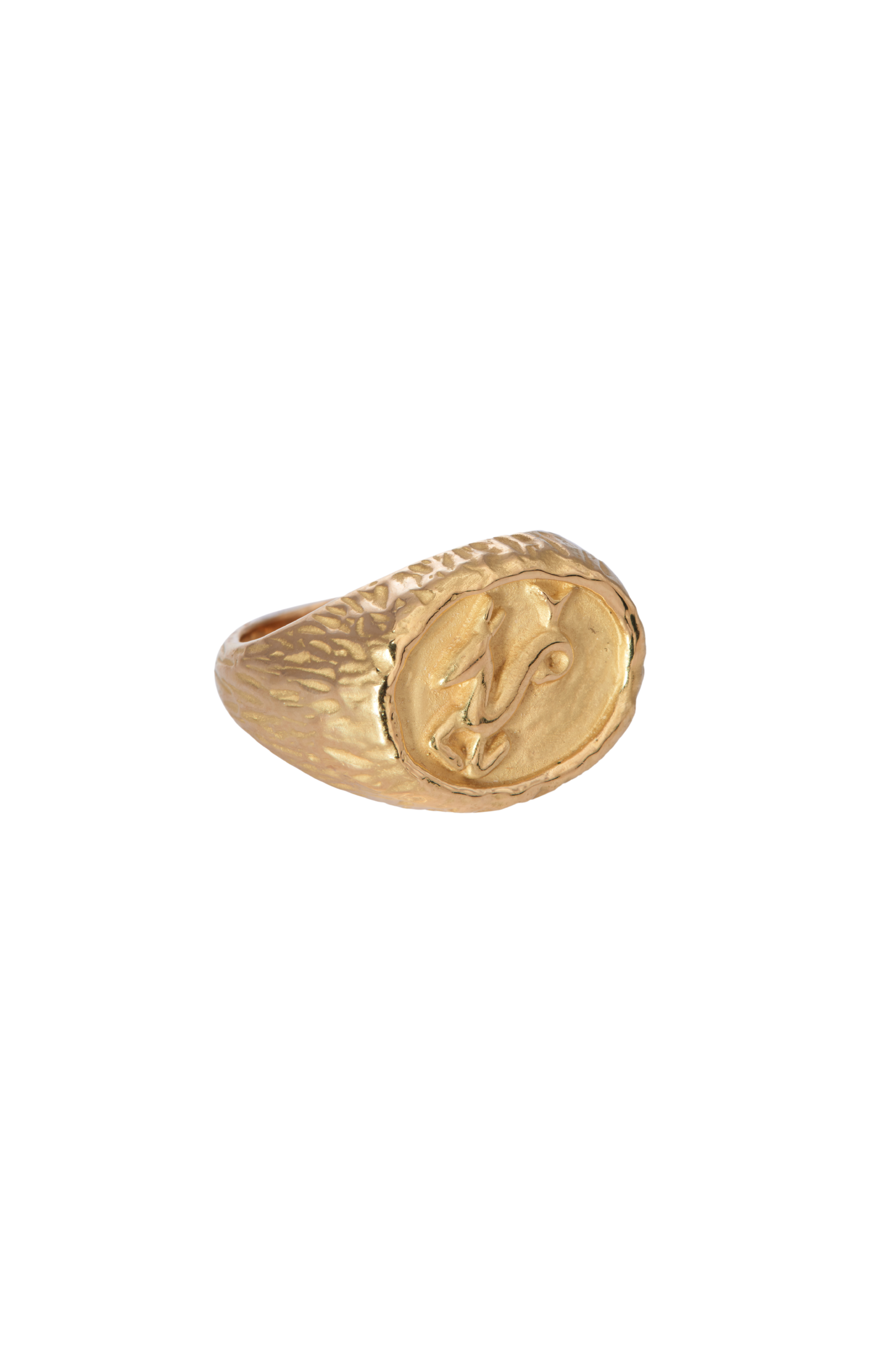 Capricorn Ring