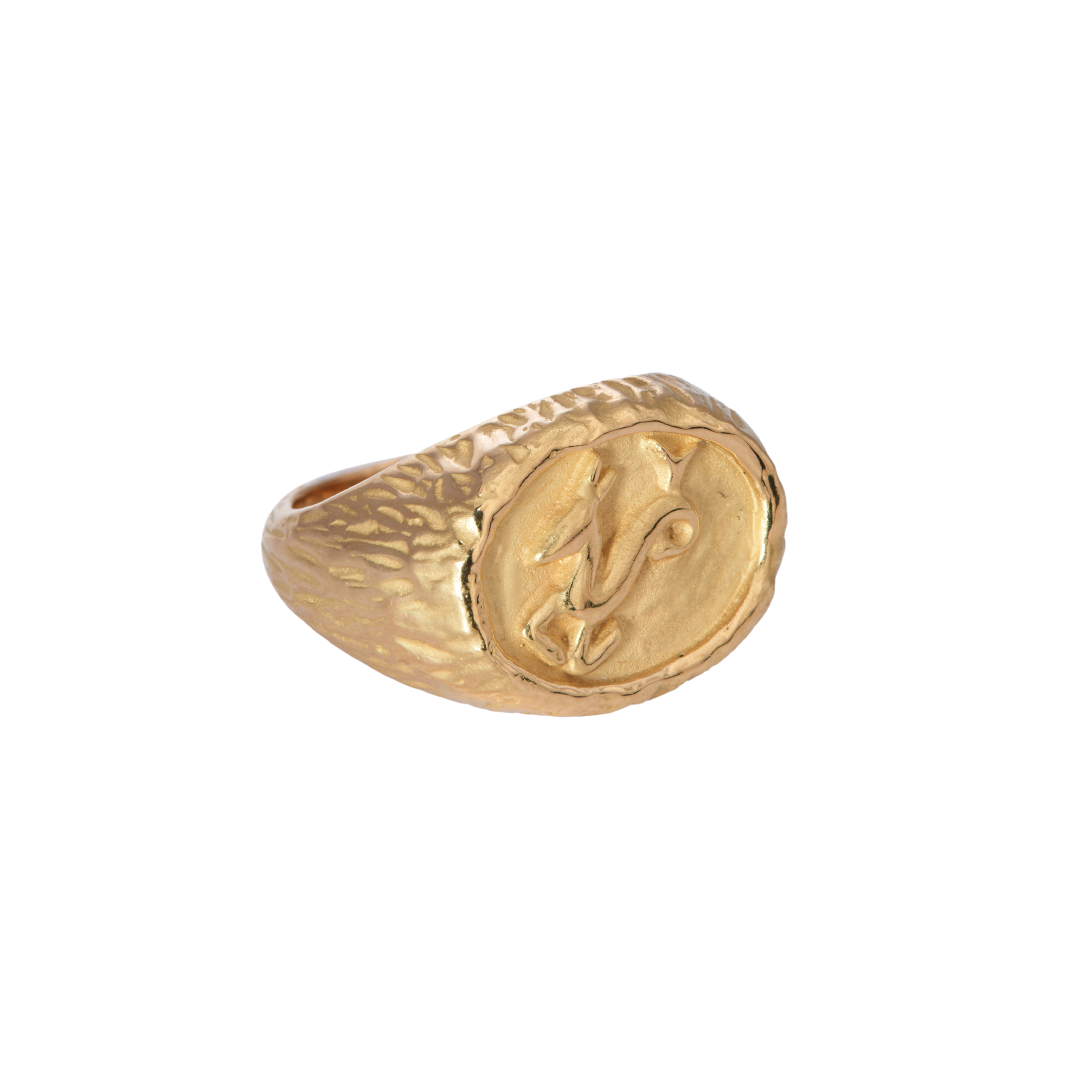 Capricorn Ring