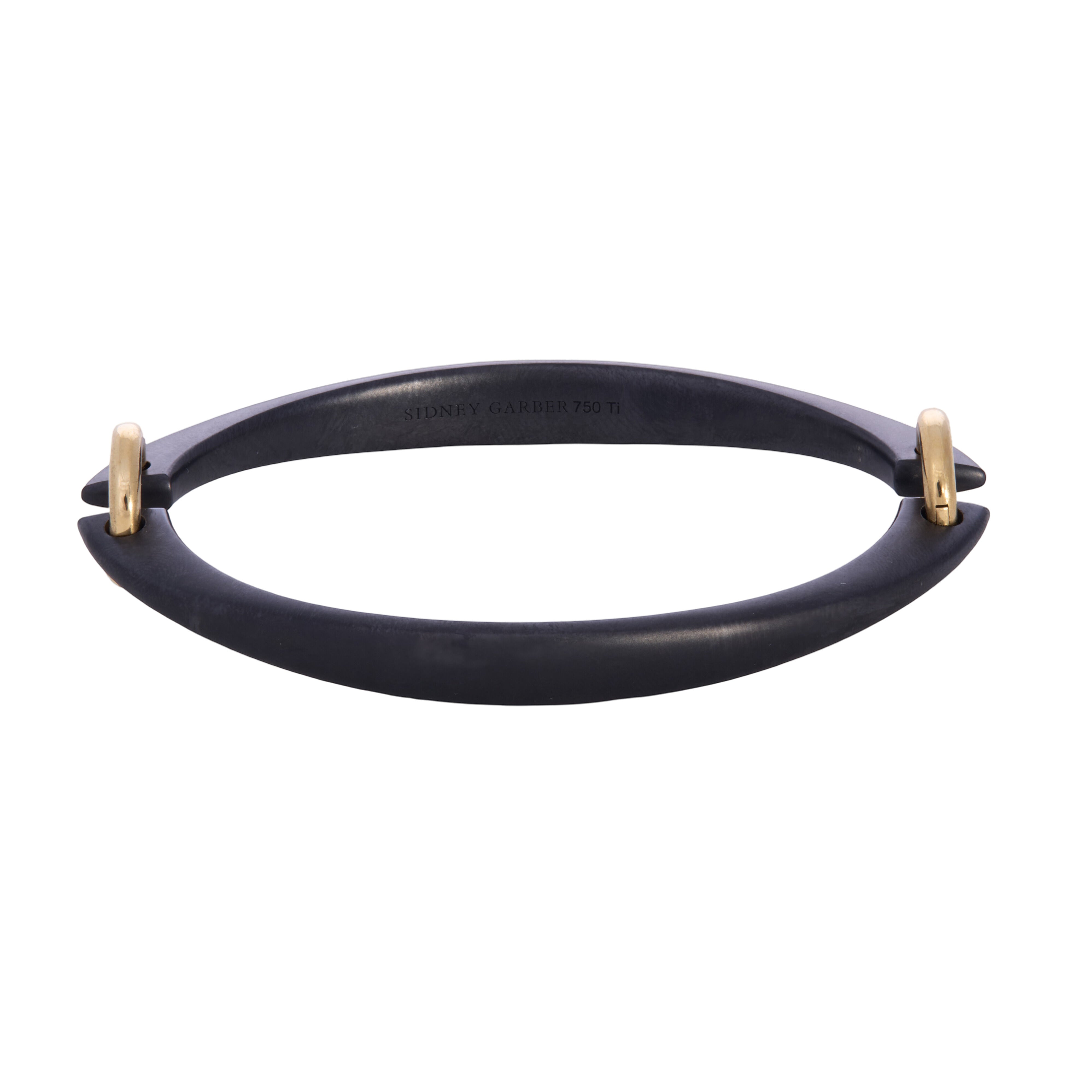 Titanium Bracelet with Yellow Gold Loops