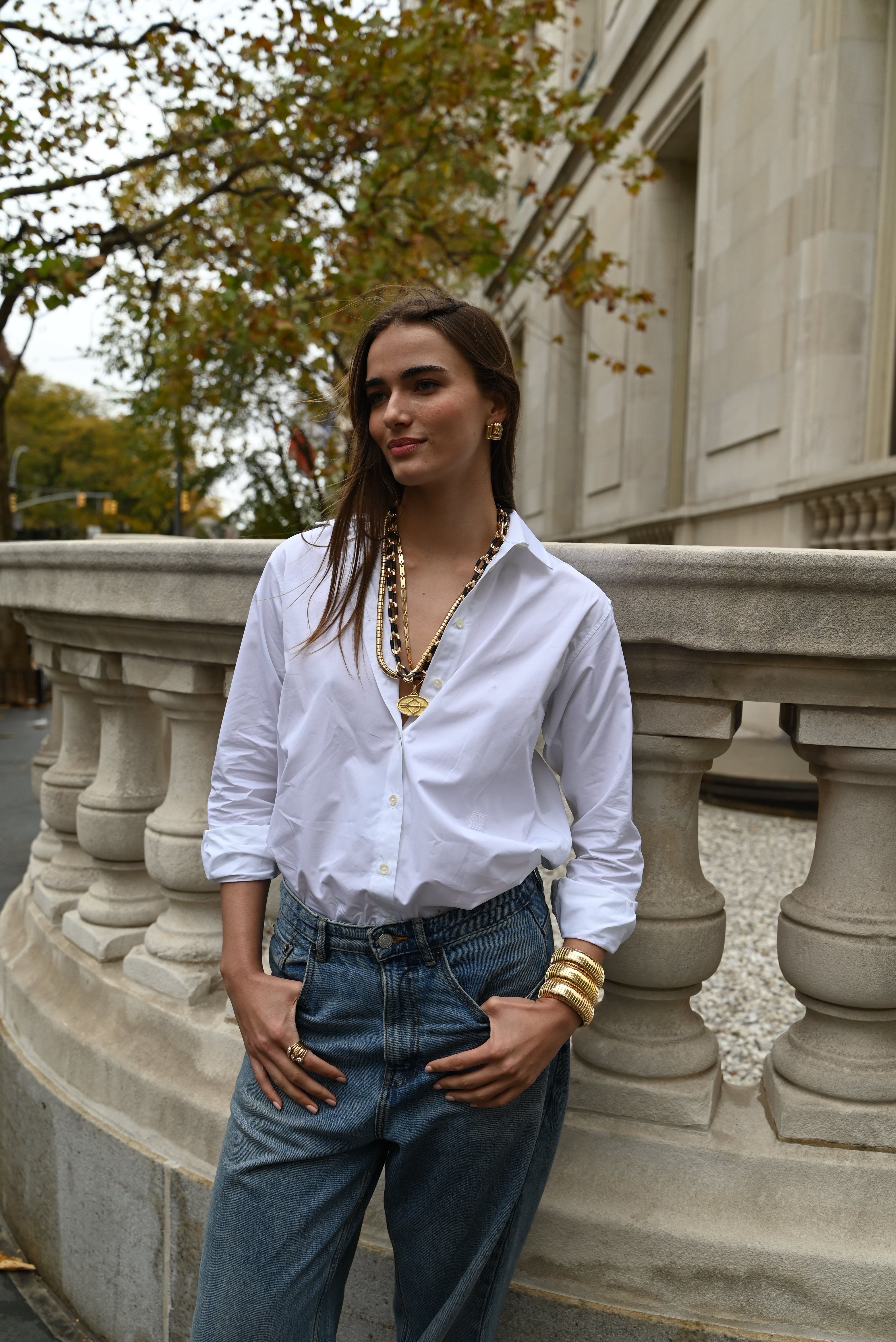 Ebony and Gold Link Necklace