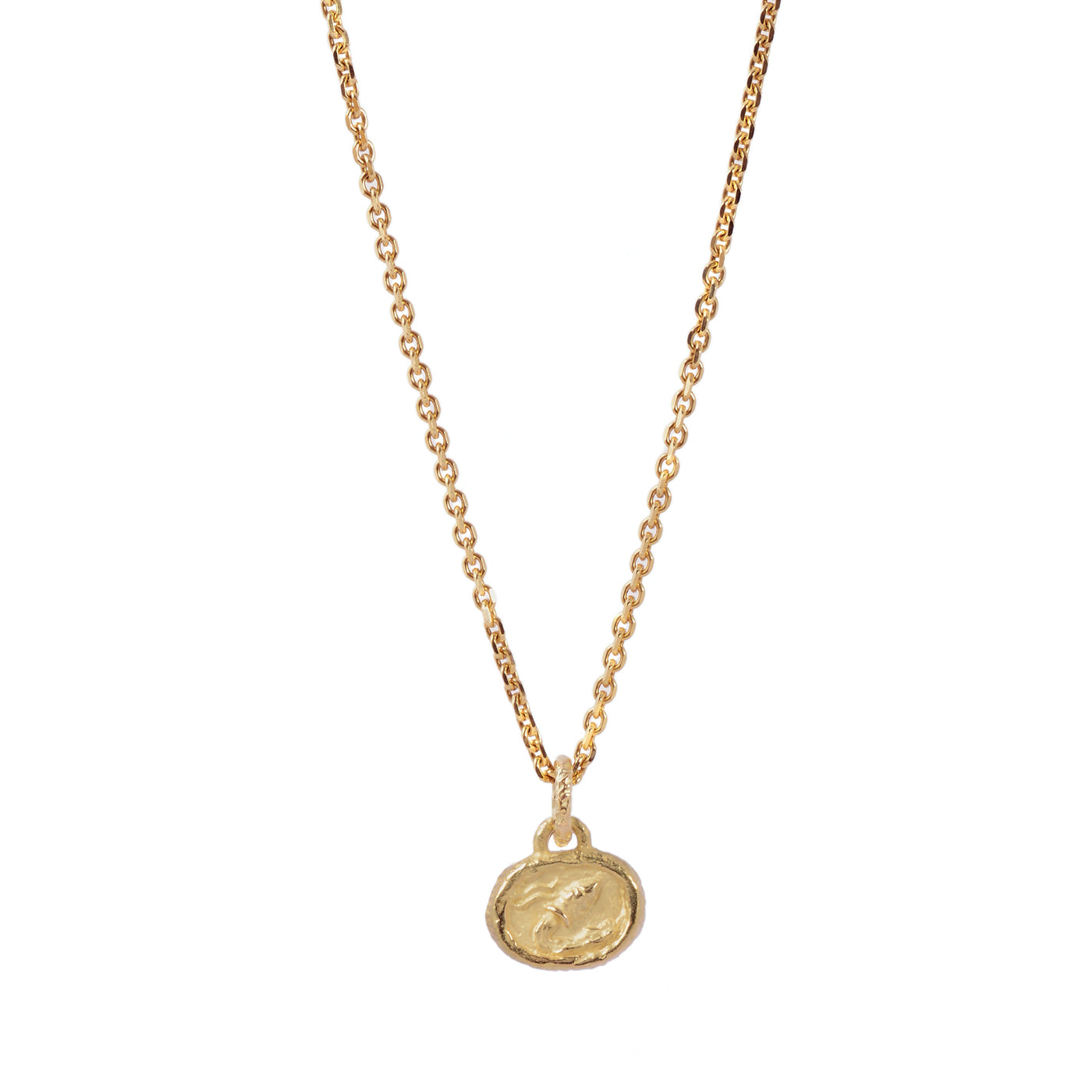 Petite Aquarius Pendant | Yellow Gold / Petite | Zodiacs