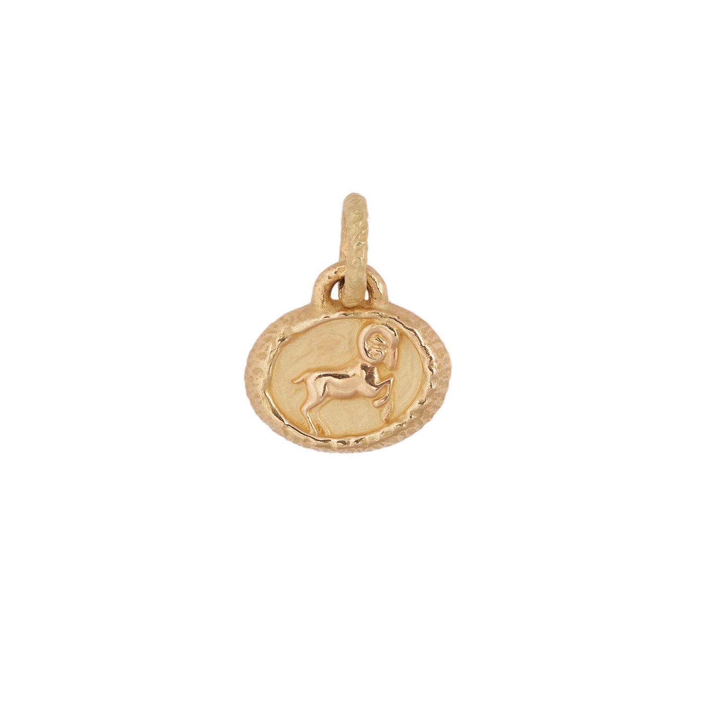 Petite Zodiac Pendant