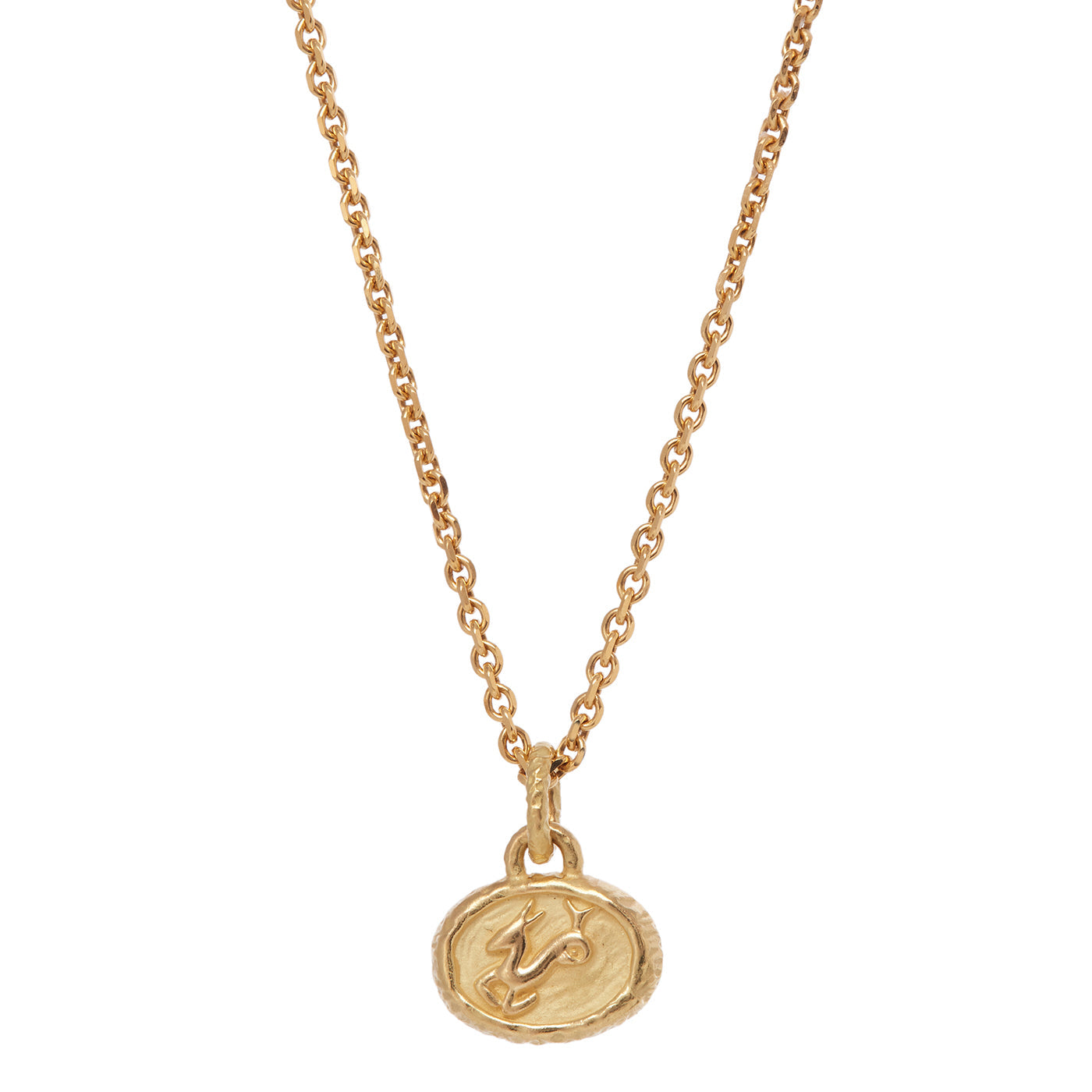 Petite Zodiac Pendant