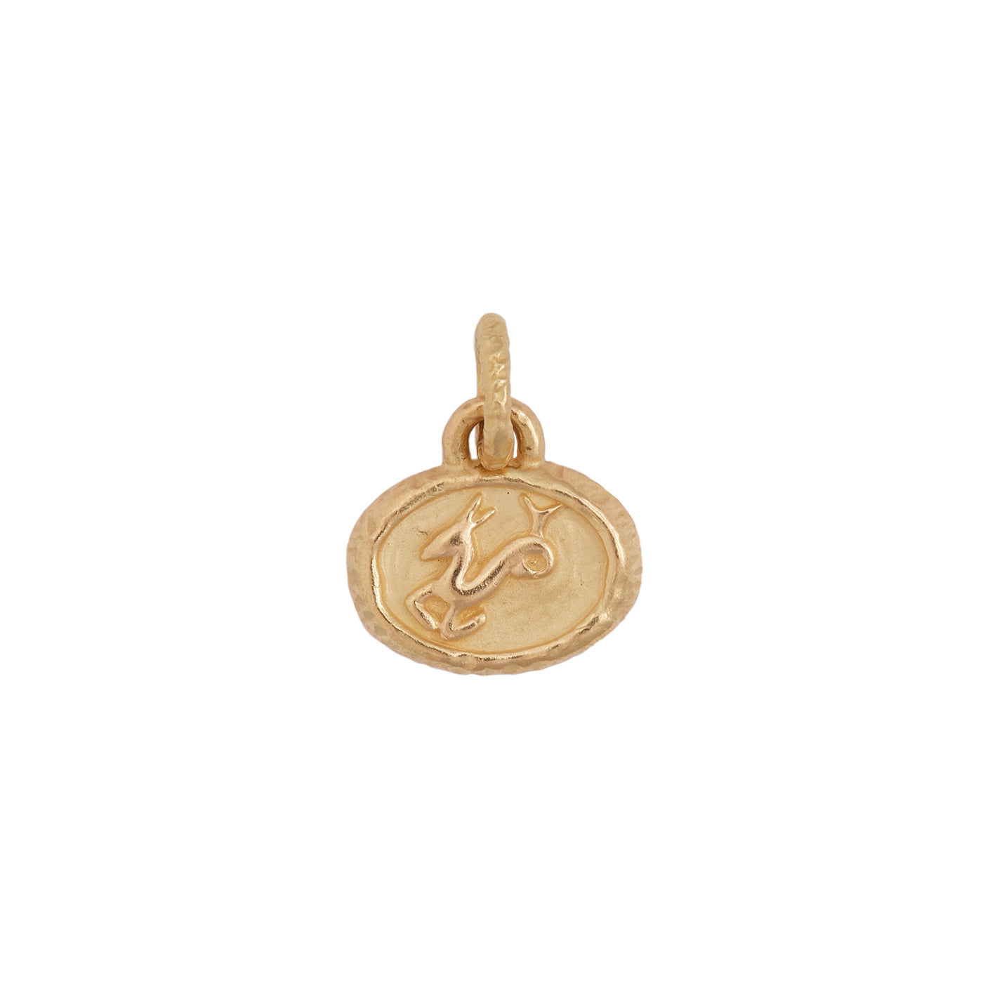 Petite Zodiac Pendant