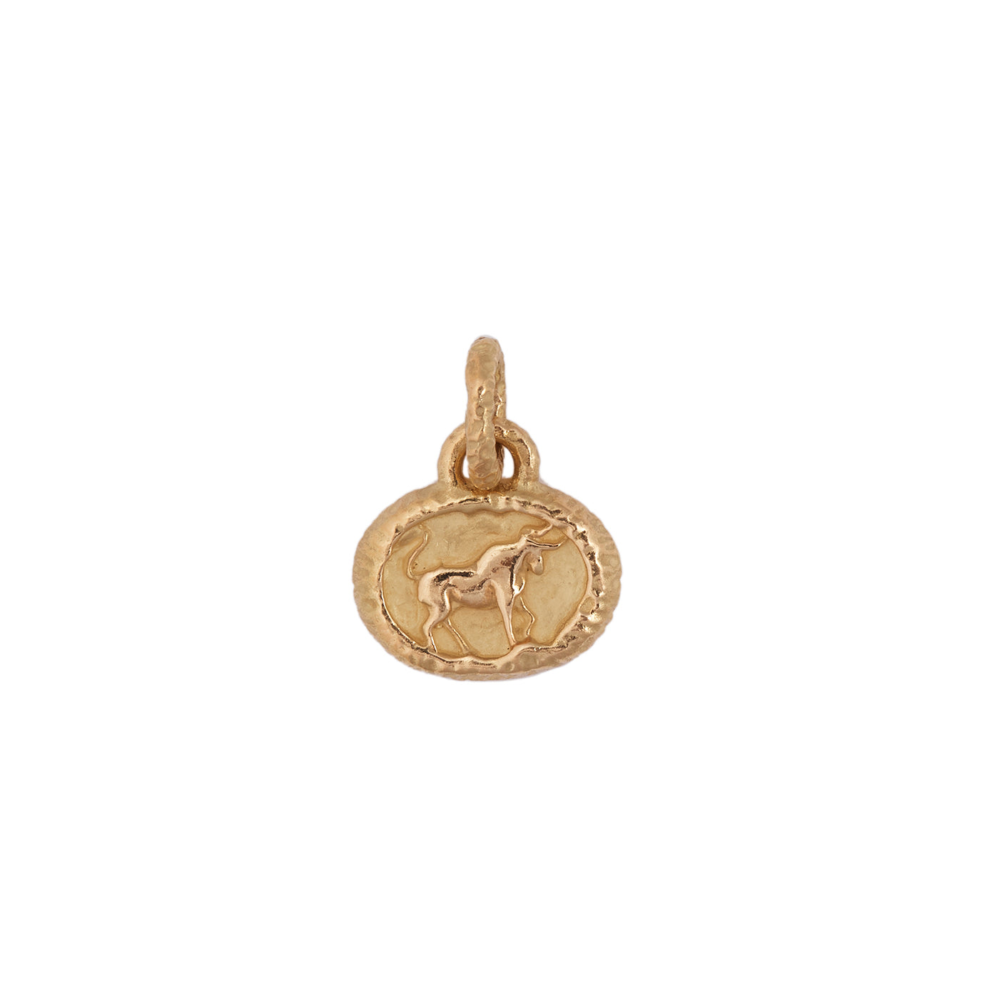 Petite Zodiac Pendant