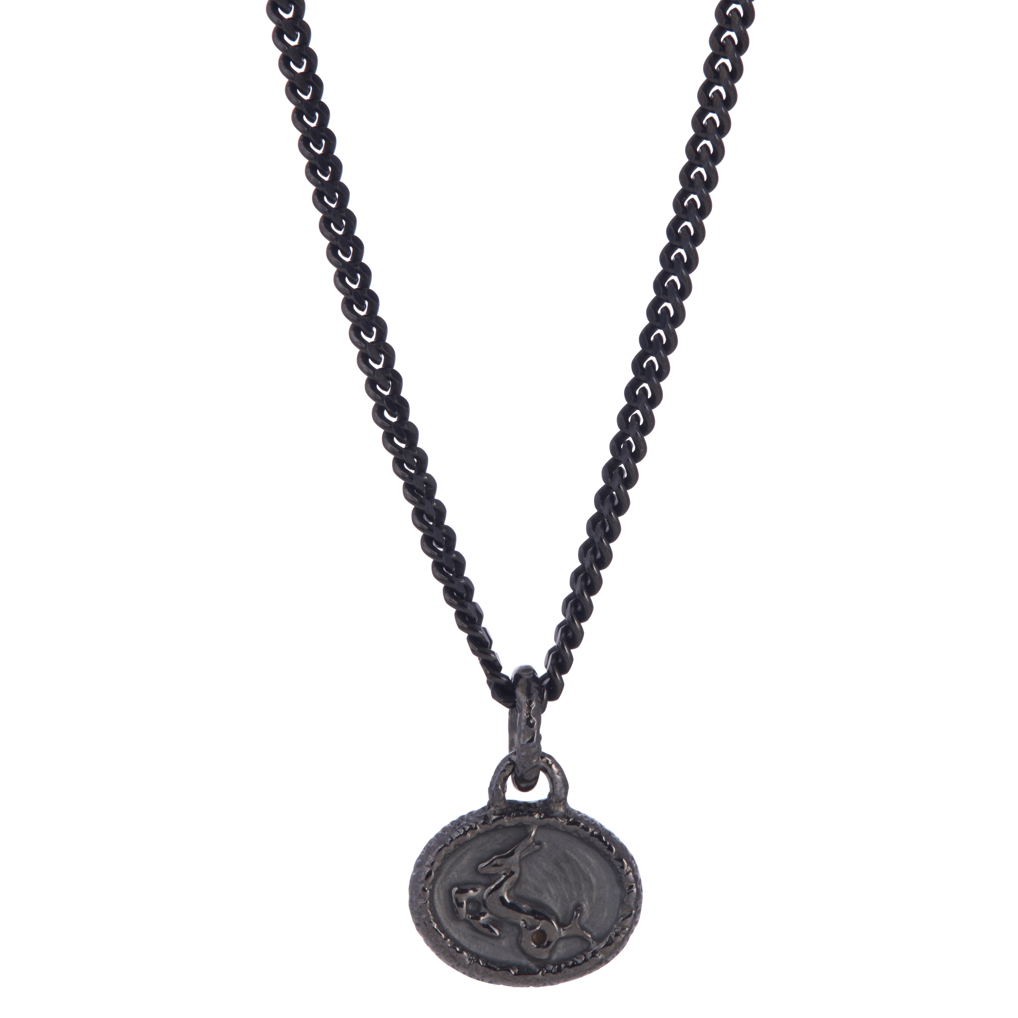Petite Capricorn Pendant