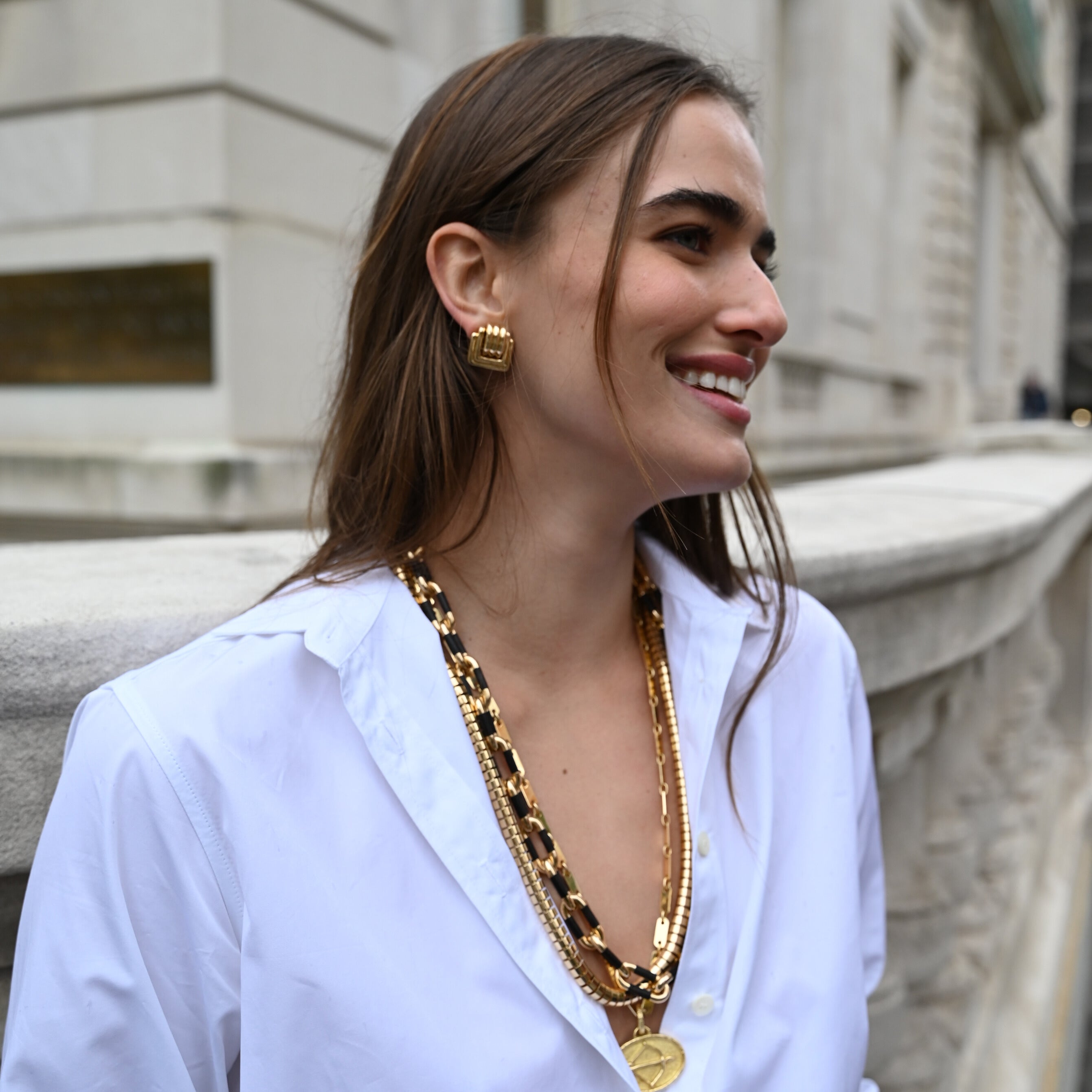 Ebony and Gold Link Necklace