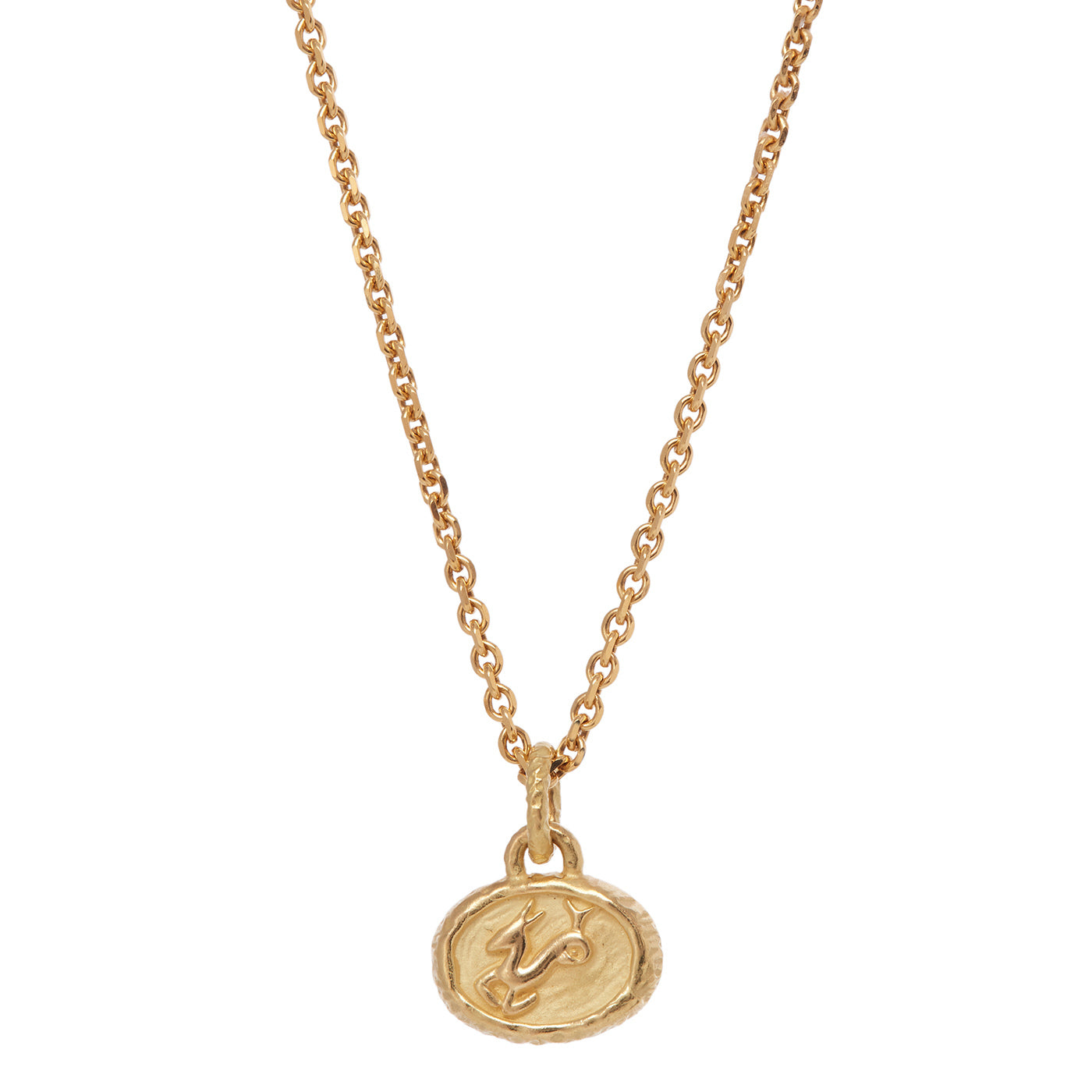 Petite Capricorn Pendant