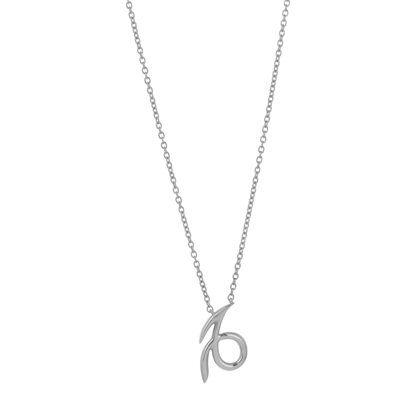 Capricorn Necklace | White Gold | Necklaces Necklaces