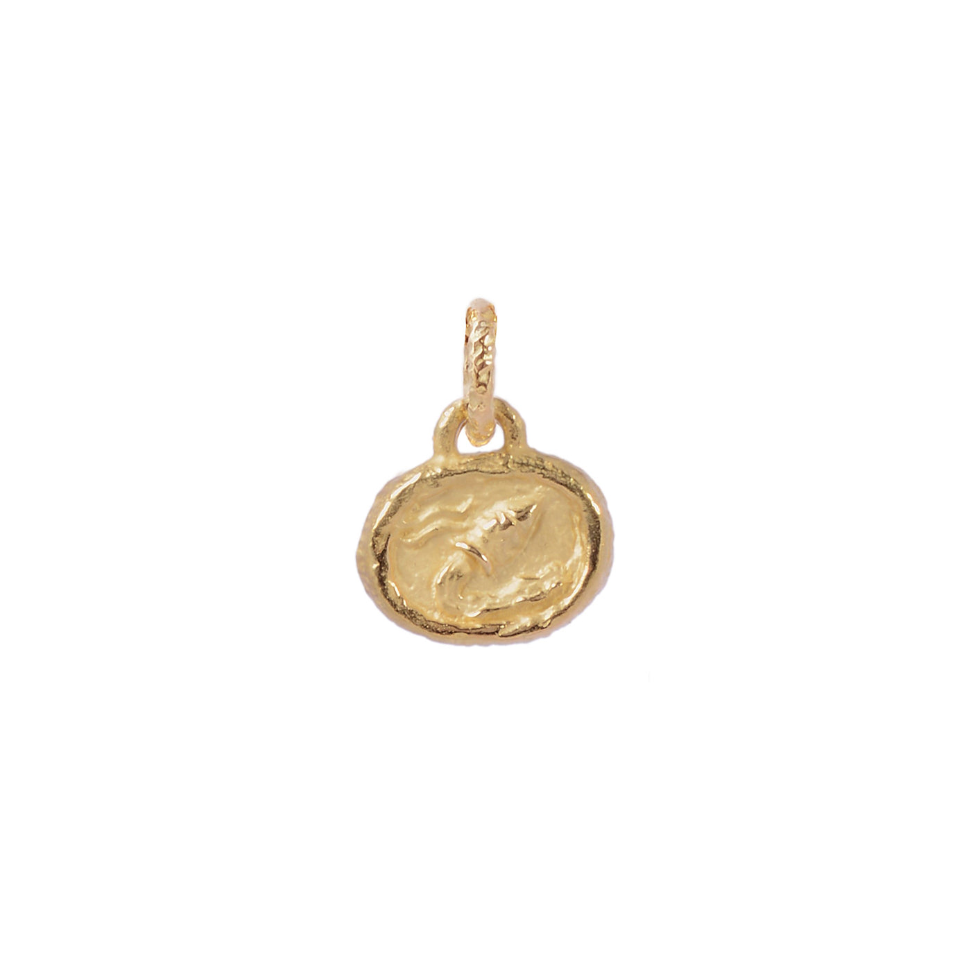 Petite Aquarius Pendant | Yellow Gold / Petite | Zodiacs