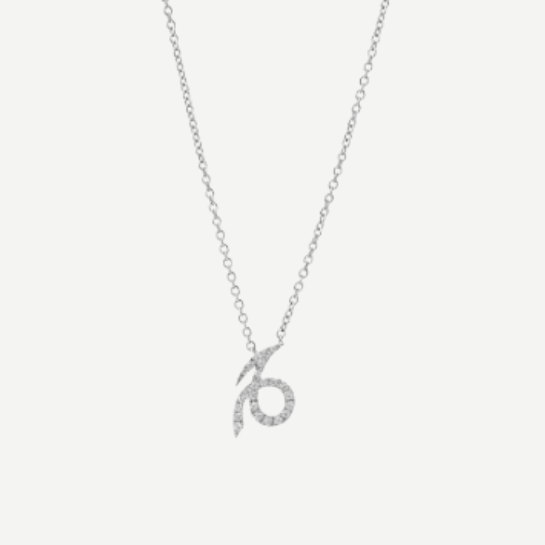 Capricorn Necklace