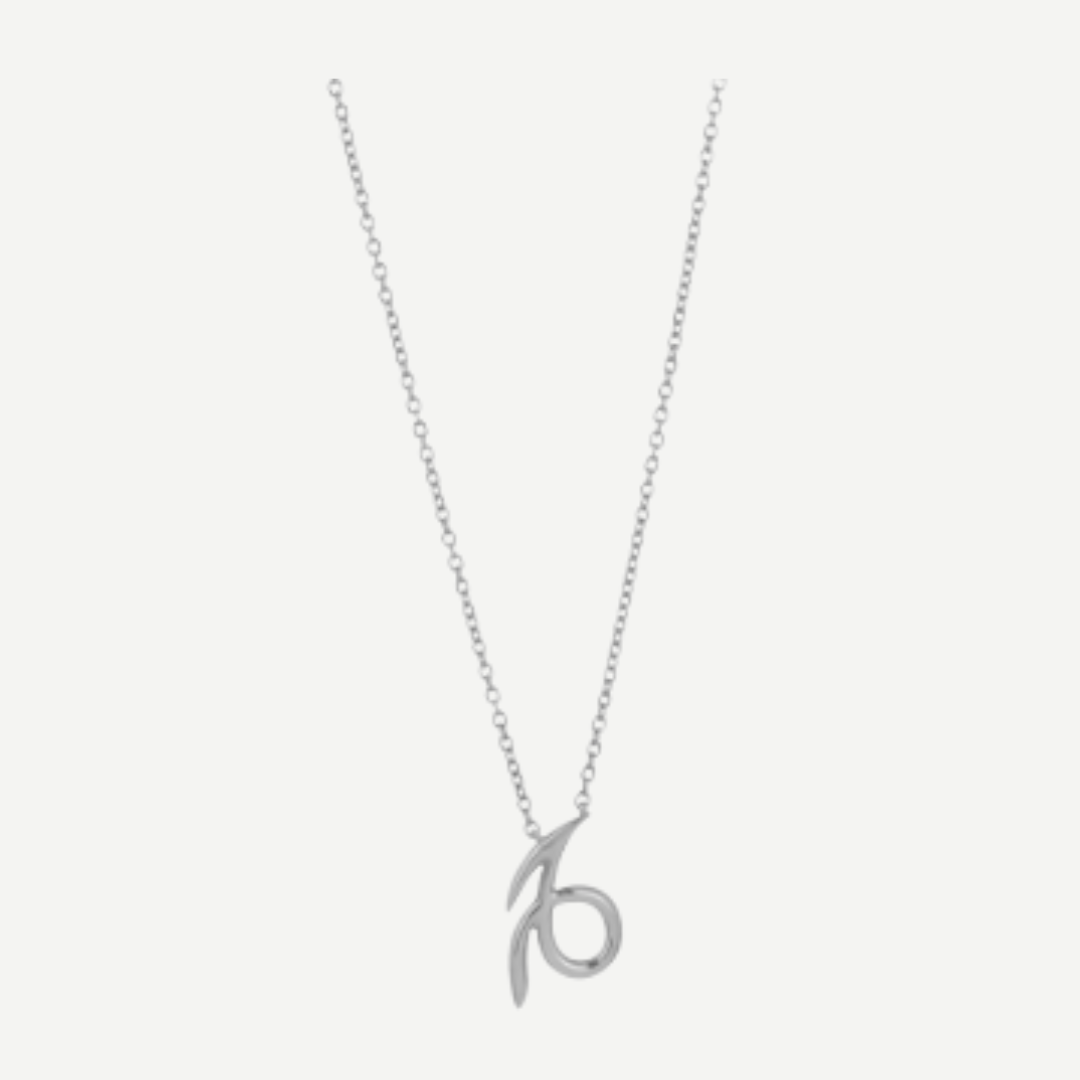 Capricorn Necklace