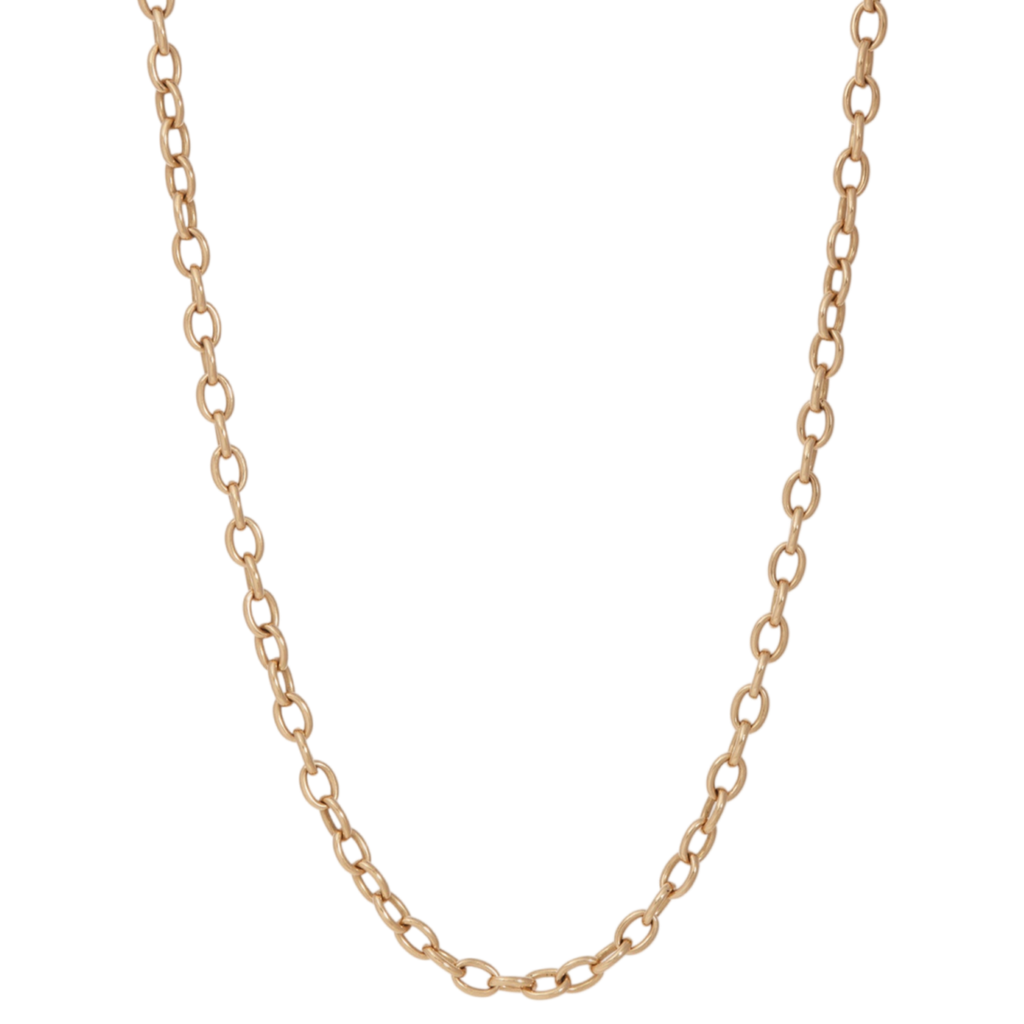 Favorite Chain Necklace - Sidney Garber