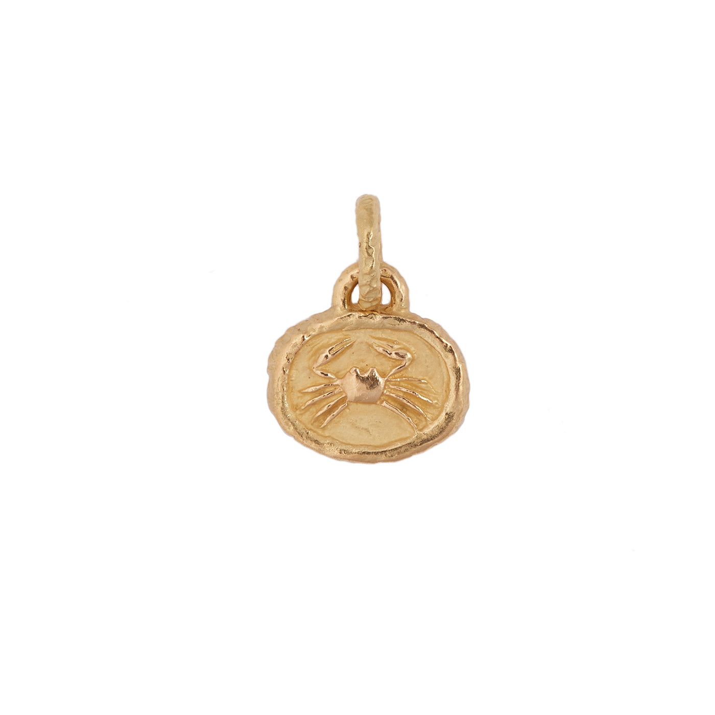 Petite Zodiac Pendant