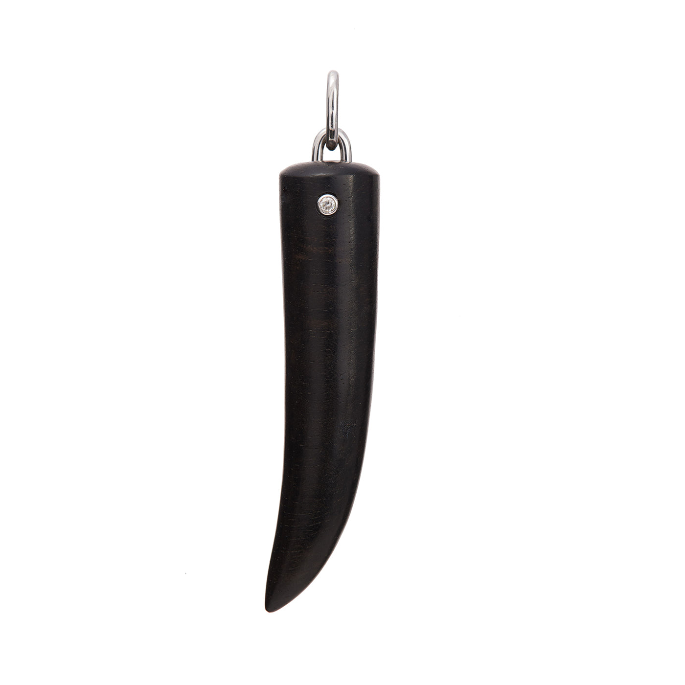 Horn Pendant | Necklaces