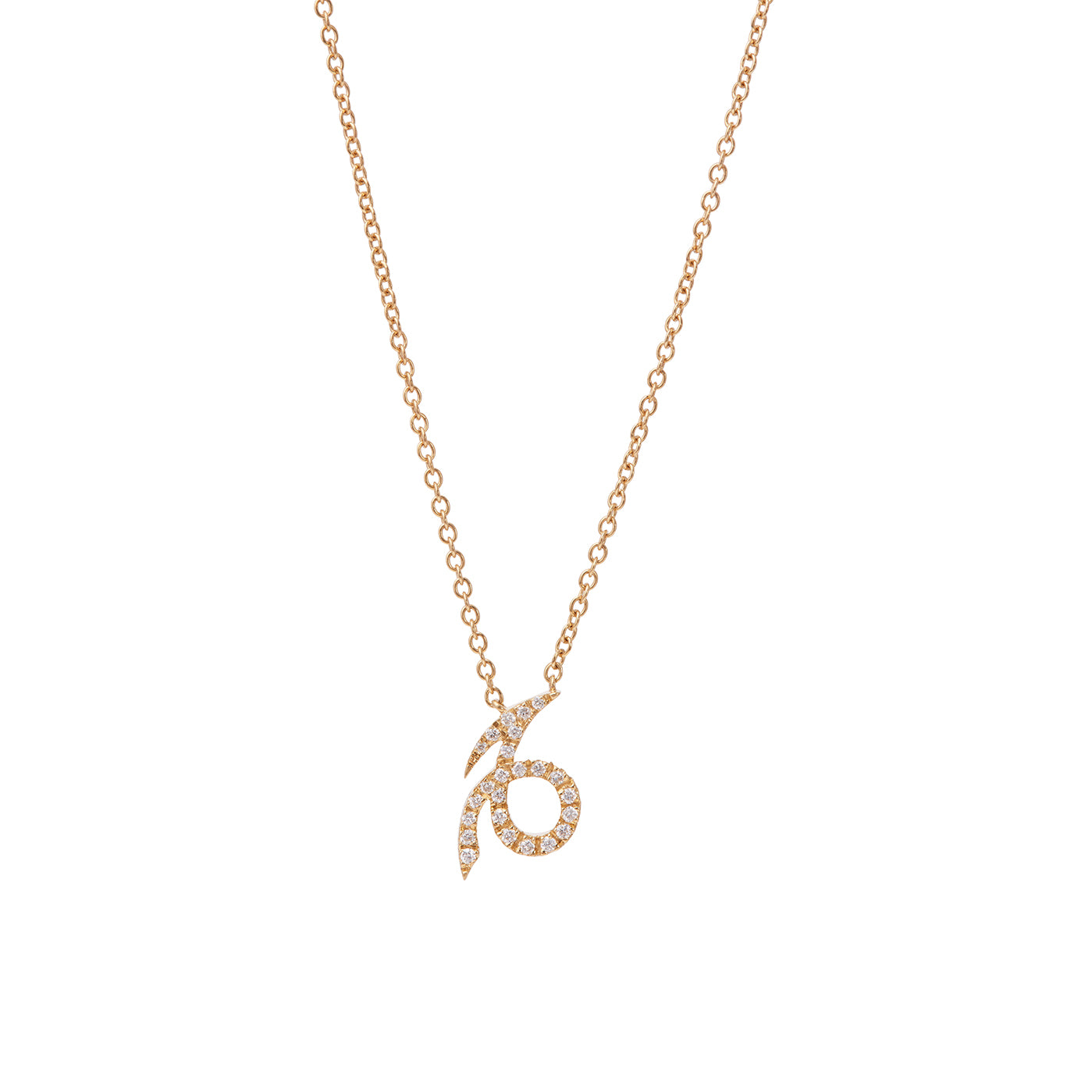 Zodiac Necklace - Capricorn