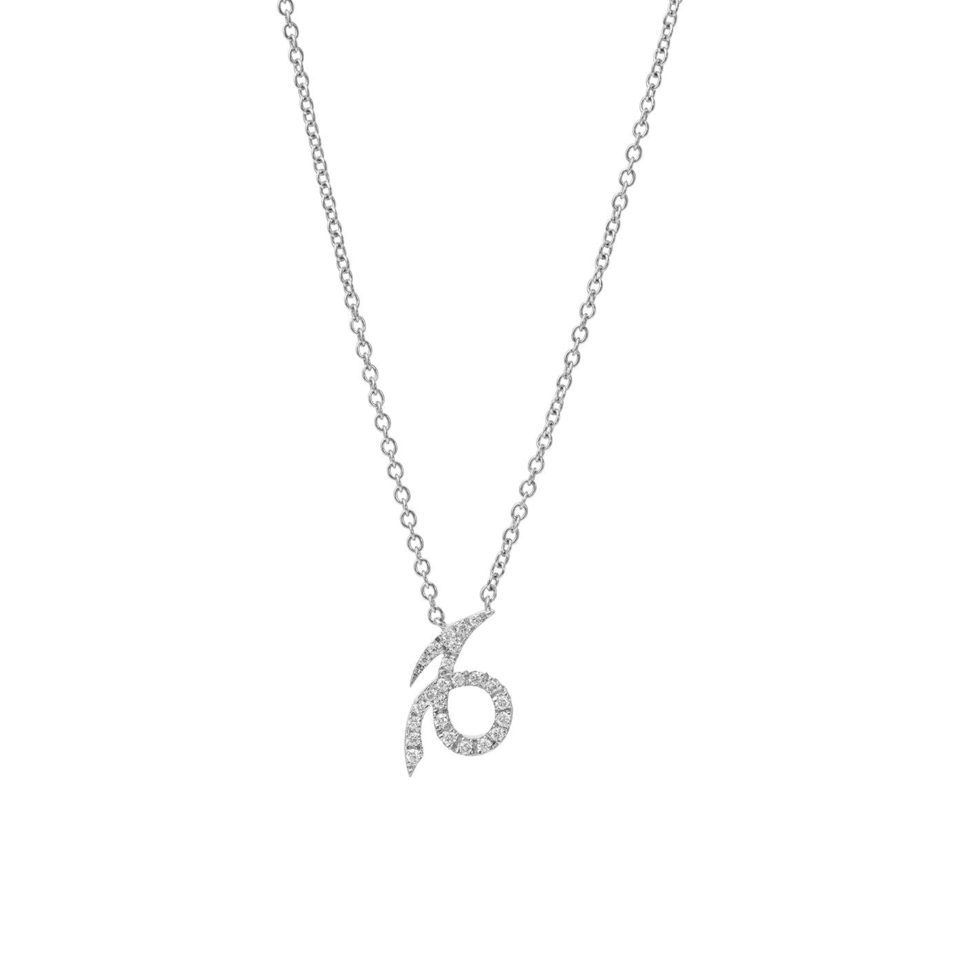Capricorn Necklace | Necklaces